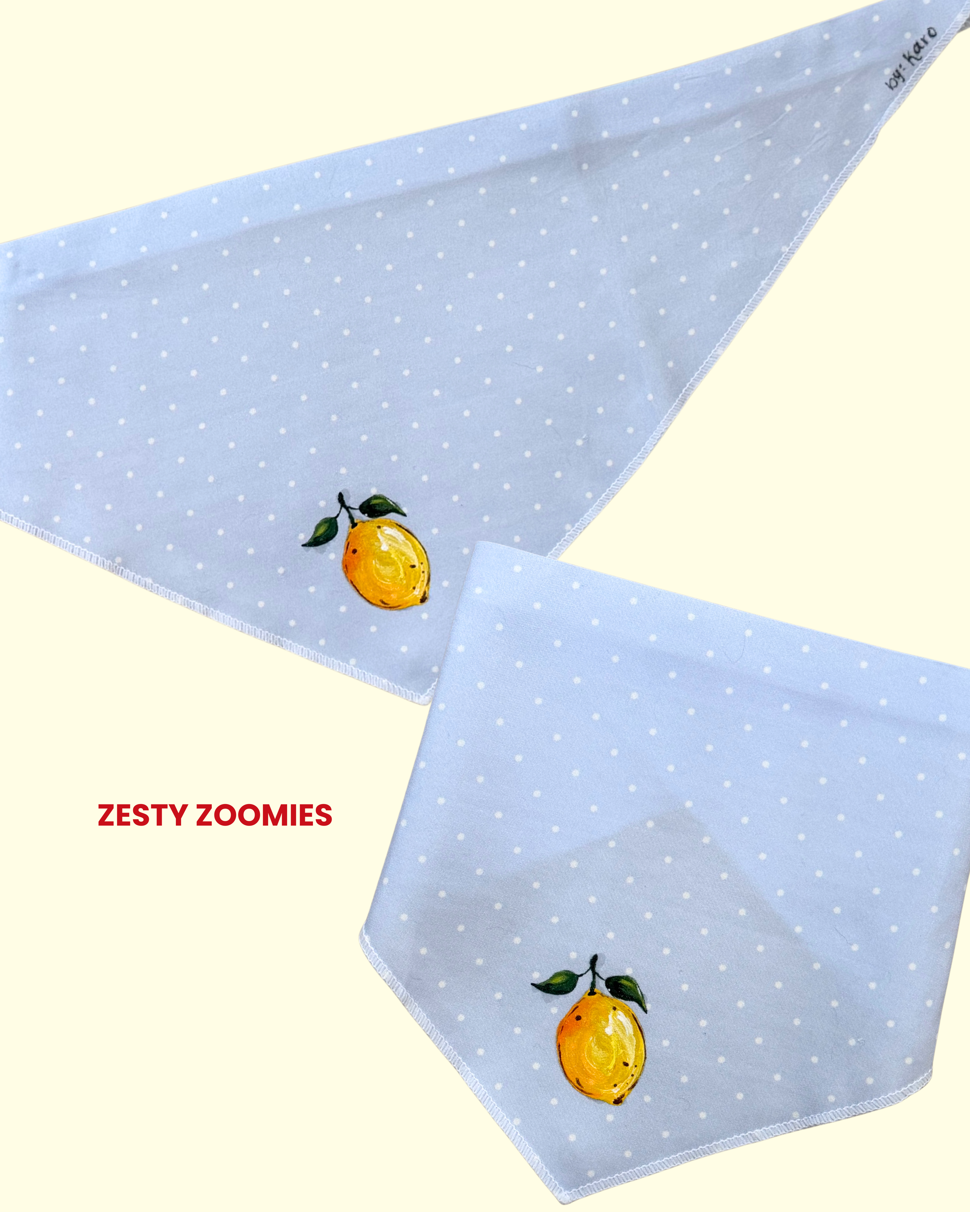 small pet bandana